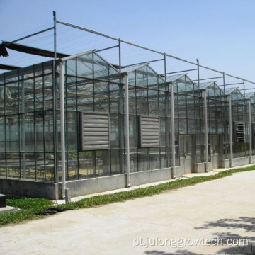 Venlo Glass Greenhouse para tomates de morango